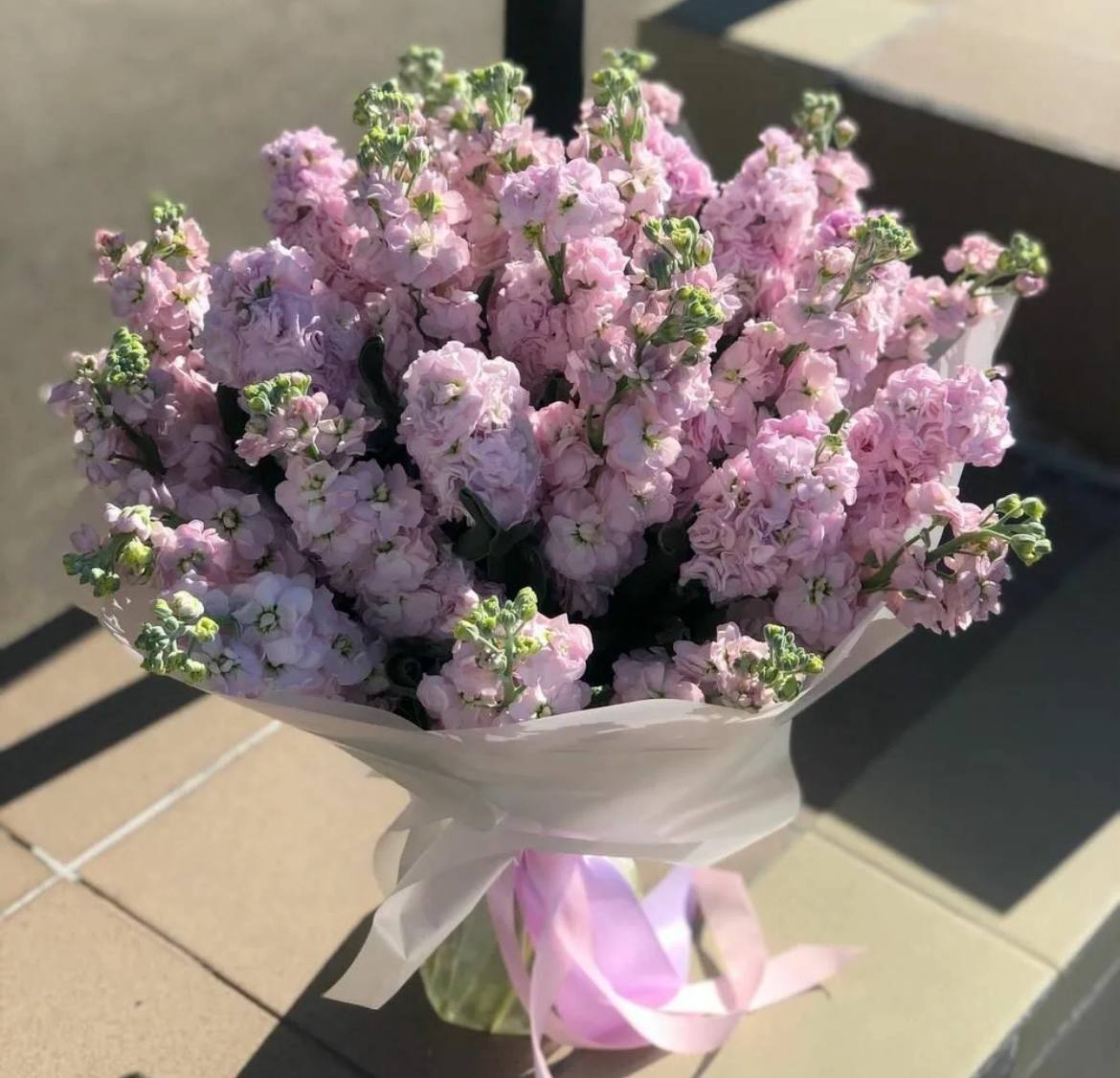 Моно-букет из розовой маттиолы